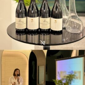 [와인강의]갤러리아 천안 VIP 고객 대상 와인 강의_최주리 대표